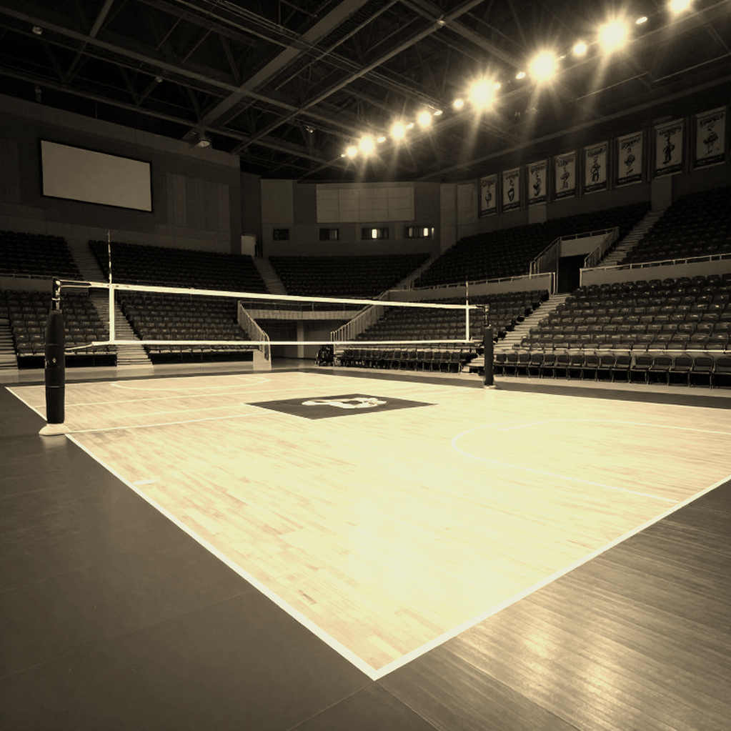 Việt Nam lần đầu dự FIVB Women's World Championship 2026: nền bóng chuyền không có dữ liệu và cách đo lại bằng mắt